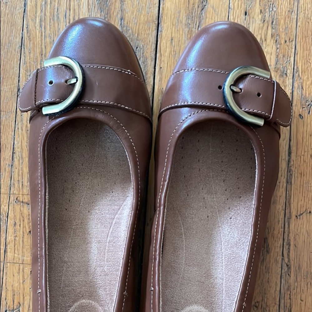 Brown Clark’s